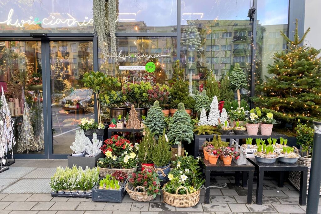 Witryna Kwieciarni w Bolesławcu